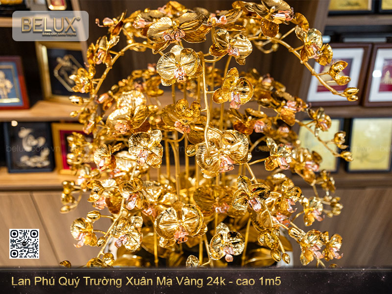 Chậu lan phú quý trường xuân dát vàng 24k&nbsp;